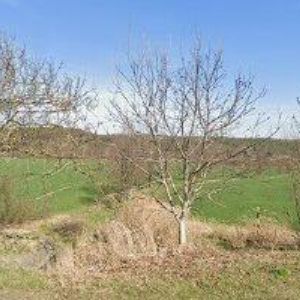 obrazek: avatar LOYALTY PROMOTIONS s.r.o.