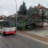 HAVLÍČKOVÁ HANA-RYTECTVÍ