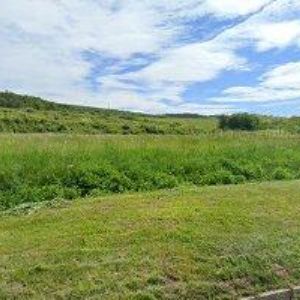 obrazek: avatar STOLAŘSTVÍ PINTERA