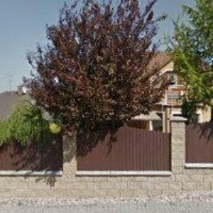 obrazek: avatar THERMOFAS CZ