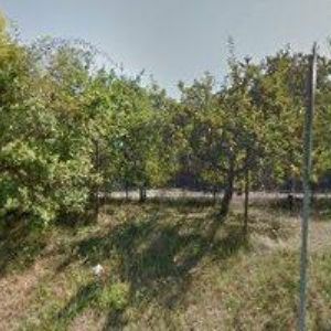 obrazek: avatar TIOKOVÁ SVĚTLANA