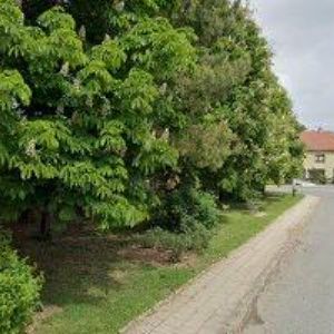 obrazek: avatar RYBNÍČEK JAN