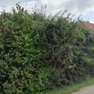 obrazek: avatar HERMAN MIROSLAV