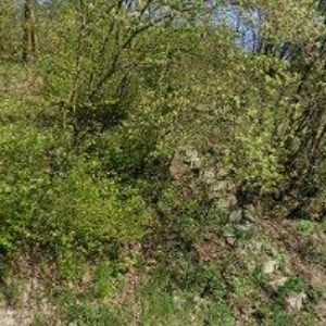 obrazek: avatar GROŠEK ROMAN