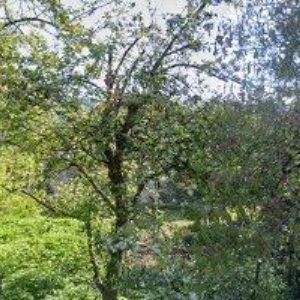 obrazek: avatar KOLPRINT, spol. s r.o.