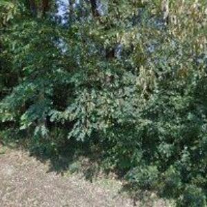 obrazek: avatar JIVA, spol. s r.o.