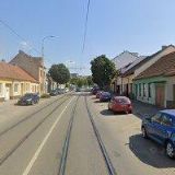 PAVLÁČEK VLADIMÍR-RYTECTVÍ-PUŠKAŘSTVÍ