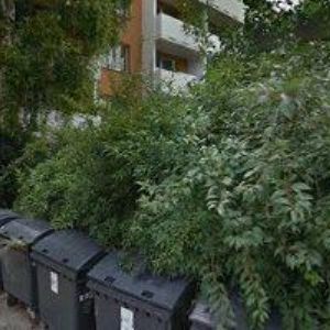 obrazek: avatar ZAPLETAL ZDENĚK