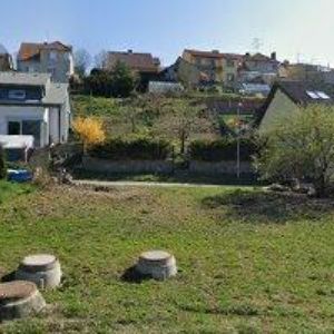 obrazek: avatar KOZOHORSKÝ DAVID