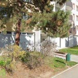 obrazek: avatar MS PRESS