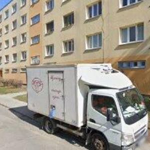 obrazek: avatar SUZANNE FOTO