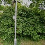 DORAZILOVÁ MICHAELA