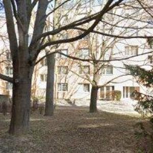 obrazek: avatar SÍS DAVID Ing.