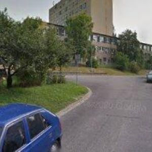 obrazek: avatar CANOVOVÁ LUCIE