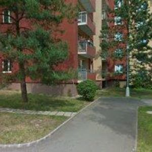 obrazek: avatar ZACH JIŘÍ