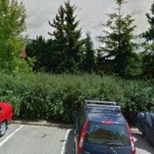 obrazek: avatar PODOLNÍKOVÁ ALENA