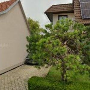 obrazek: avatar AUREOLA PHOTOGRAPHY