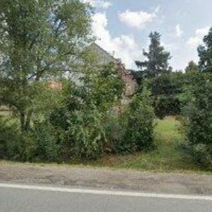 obrazek: avatar MONIQUE DESIGN & PHOTOGRAPHY