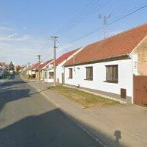 obrazek: avatar RÁJECKÝ DAVID