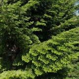 WAGNEROVÁ PAVLÍNA-FOTOGRAF