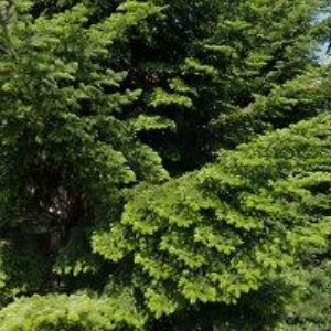 obrazek: avatar WAGNEROVÁ PAVLÍNA-FOTOGRAF