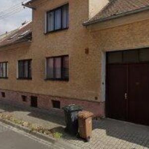 obrazek: avatar BEDES