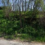 ZŠ A MŠ Dolní Kounice