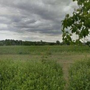 obrazek: avatar MŠ Břeclav