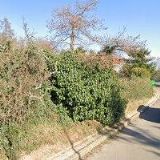 SYNTAGMA JAZYKOVÁ AGENTURA