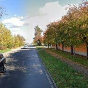 obrazek: avatar KOLUCH ČENĚK