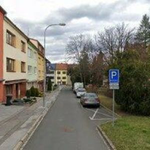 obrazek: avatar ELEKTRO LIŠKA