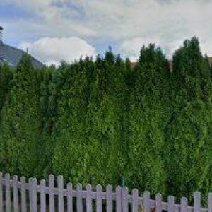 obrazek: avatar MŠ Všeň