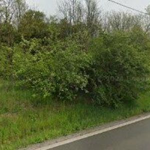 obrazek: avatar MŠ Čebín