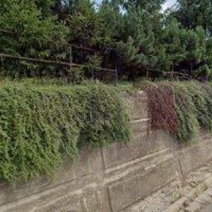 obrazek: avatar MAHEL FRANTIŠEK