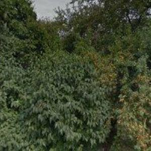 obrazek: avatar MŠ Senetářov