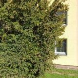 OULEHLA LIBOR-VODO-TOPO-PLYN