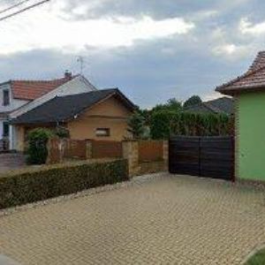 obrazek: avatar BAČÍK DAVID