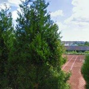 obrazek: avatar MŠ SNĚHURKA