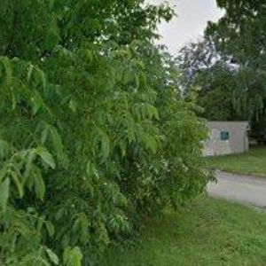 obrazek: avatar MŠ SOCHOROVA Vyškov