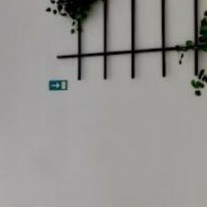 obrazek: avatar CÍRKEVNÍ DOMOV MLÁDEŽE PETRINUM