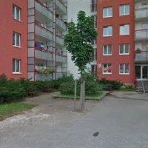 obrazek: avatar ŠLESOVÁ JARMILA