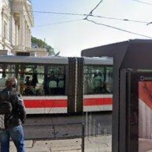 obrazek: avatar SVOBODOVÁ VĚRA