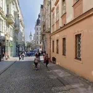 obrazek: avatar ŠUSTEROVÁ JANA-MODRÁ KOČKA