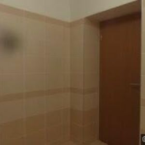 obrazek: avatar SKLENÁŘOVÁ CAROLINE Ing.