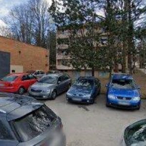 obrazek: avatar WALDORFSKÁ ZŠ A MŠ Brno