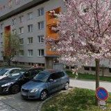 STRMISKOVÁ LADISLAVA