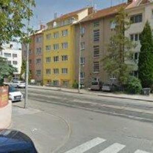 obrazek: avatar MALÍKOVÁ ZUZANA