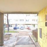 PEKÁRKOVÁ SYLVA Mgr.