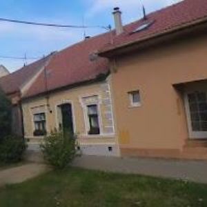 obrazek: avatar PAVLASOVÁ ŠÁRKA-STUDIO CHIC