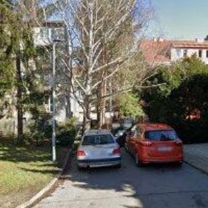 obrazek: avatar MŠ PURKYŇOVA 21 Brno